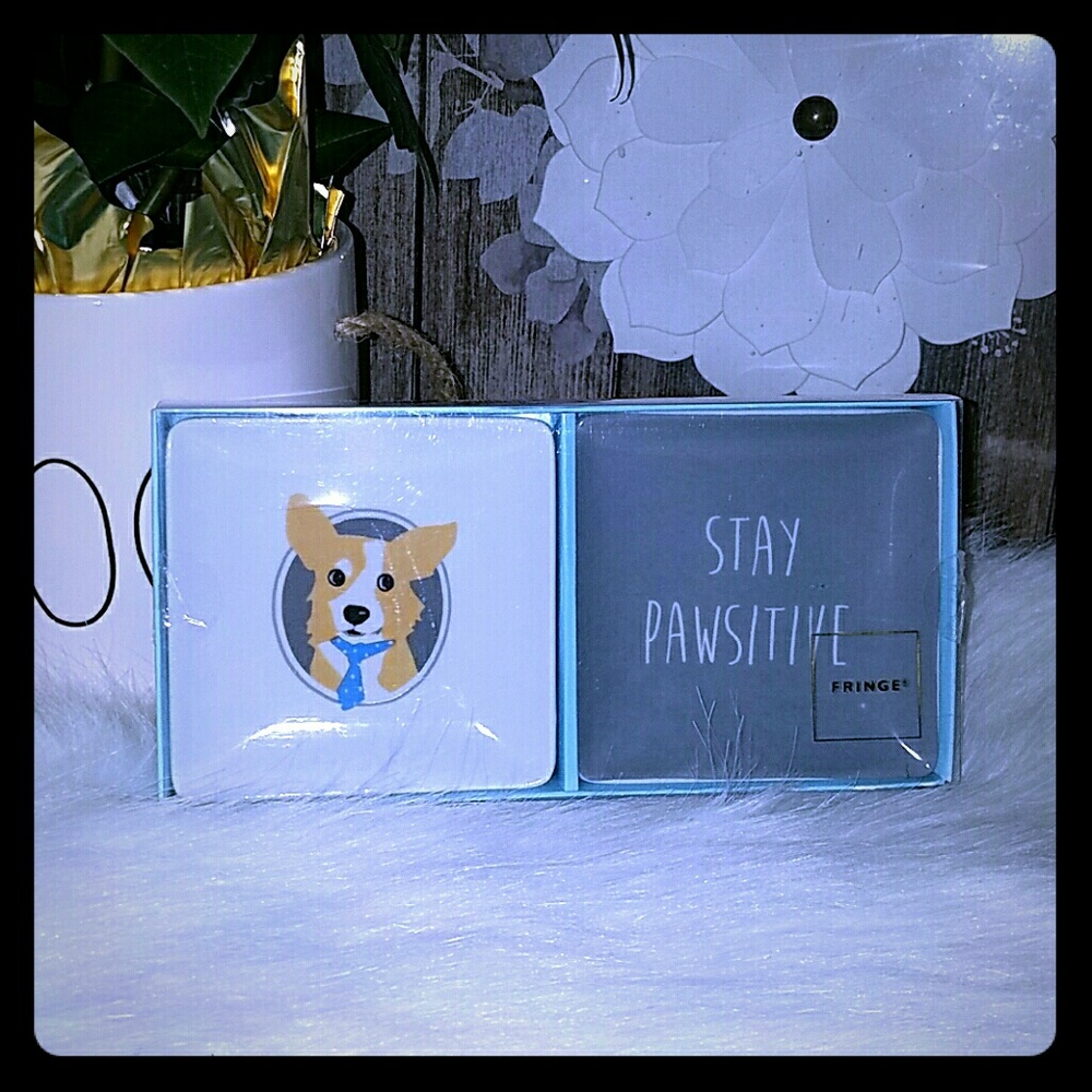 Fringe stay pawsitive set of two porcelain tray